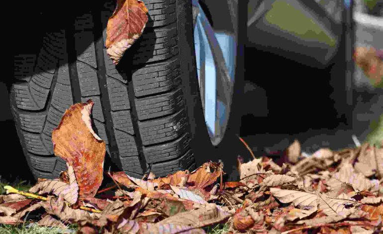 Reifen beim Fahren im Herbst über braunes Laub