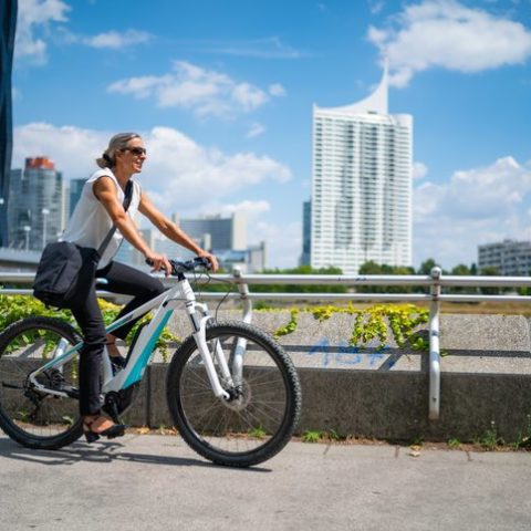 Frau mit Umhängetasche fährt auf einem E-Bike. Hochhäuser und blauer Himmel im Hintergrund.