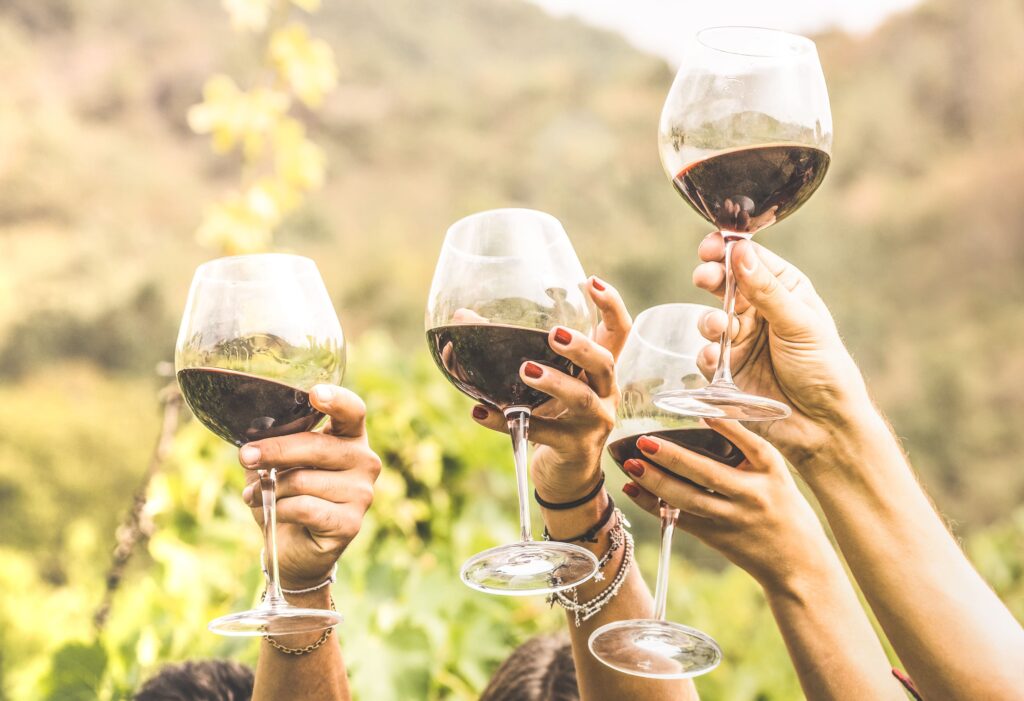 Vier Frauenhände in die Luft gestreckt, die jeweils ein Glas Rotwein halten. Dahinter Weinreben und Hügel.